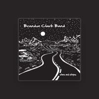 The Brandon Clark Band