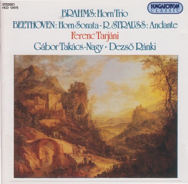 Sonata in F major for Horn and Piano: III. Rondo. Allegro moderato