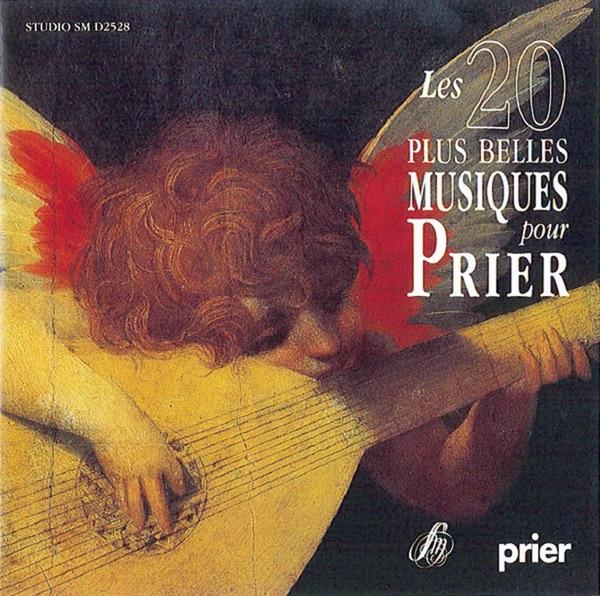 Donne-nous la paix (Instrumental)