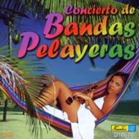 El Bejuco