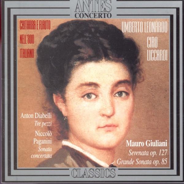 Serenata, Op. 127: VI.: III. Variazione
