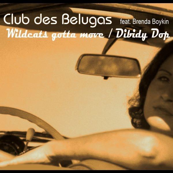 Dibidy Dop