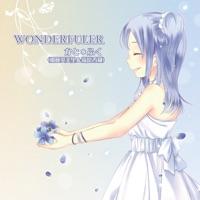 WONDERFULER