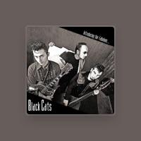 BLACK CATS