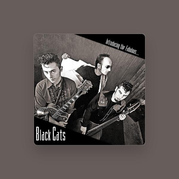 BLACK CATS