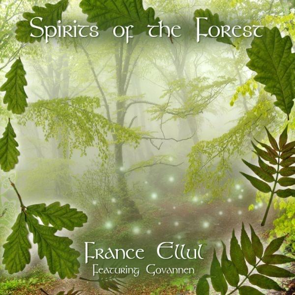 The Enchanted Glade (feat. Govannen)