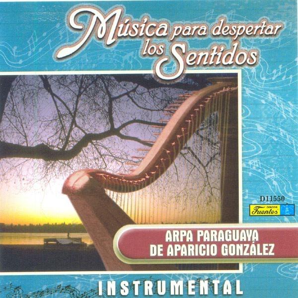 Seleccion de Polcas: Melodia Para Ti - Boyerito - la Urraca