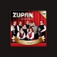 Ansambel Zupan