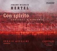 Bassoon Concerto in A minor: II. Grave