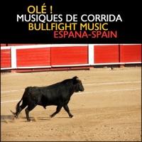 Manolete, Pasodoble Torero
