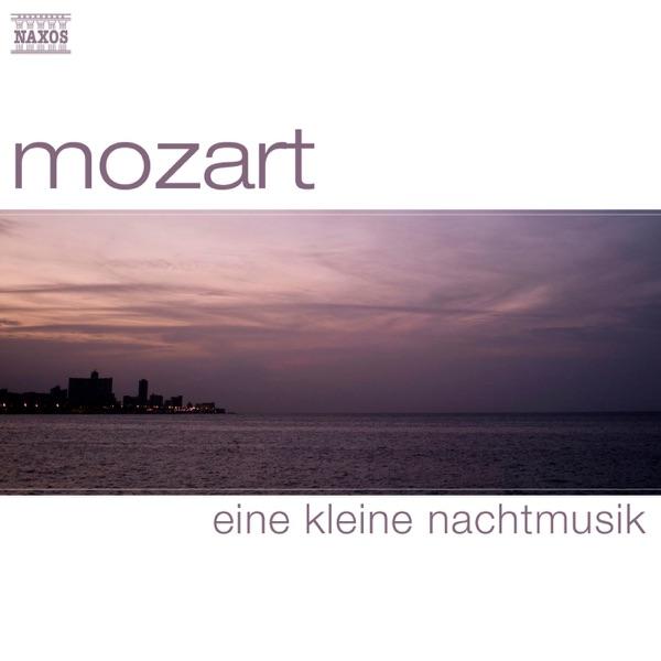 Divertimento in B-Flat Major, K. 287: IV. Adagio