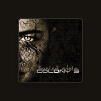 Colony 5