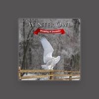 Winter Owl