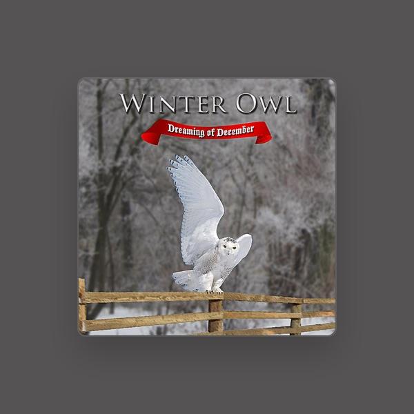 Winter Owl
