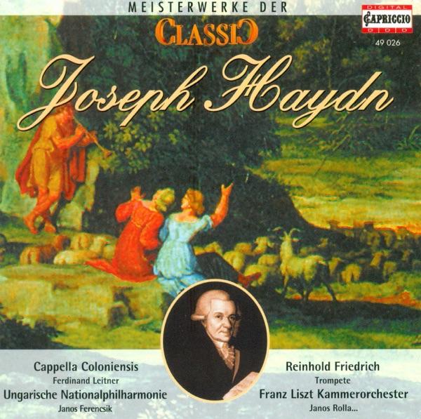 Cello Concerto No. 2 in D major, Hob.VIIb:2: III. Rondo: Allegro