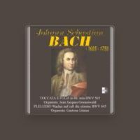 Organo di S.Maria dei Servi di Milano