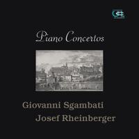 Concerto for Piano and Orchestra In G Minor, Op. 15: Allegro Animato - un Poco Sostenuto