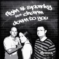 Down to You (Darren Styles Remix)