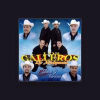 Los Galleros de Michoacan
