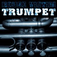 Trumpet (Radio Cut Version)