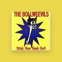 The Bollweevils