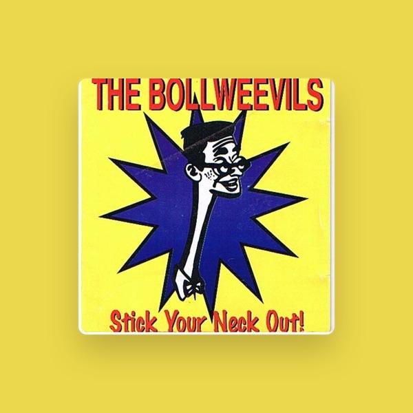 The Bollweevils