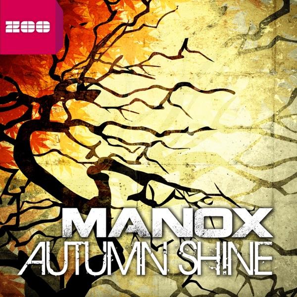 Autumn Shine (Accuface High Energy Remix)