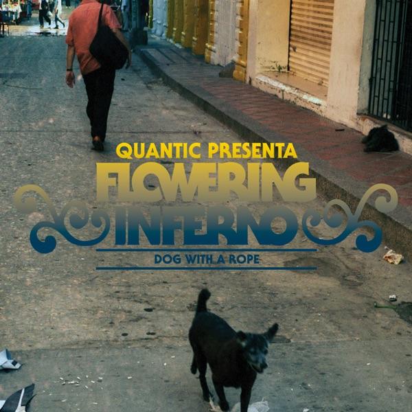 Dub y Guaguanco