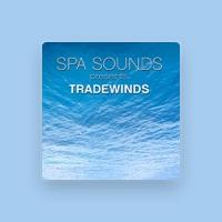Spa Sounds Musicians