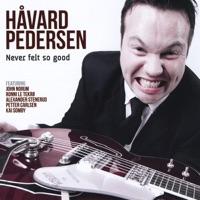 While My Guitar Gently Weeps (feat. Bjorn Conrad Berg)