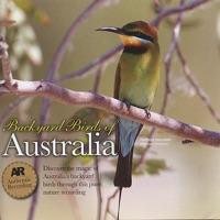 Featuring Lemon-Bellied Flycatcher