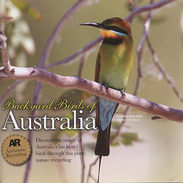 Featuring Lemon-Bellied Flycatcher