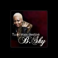 B. Sky