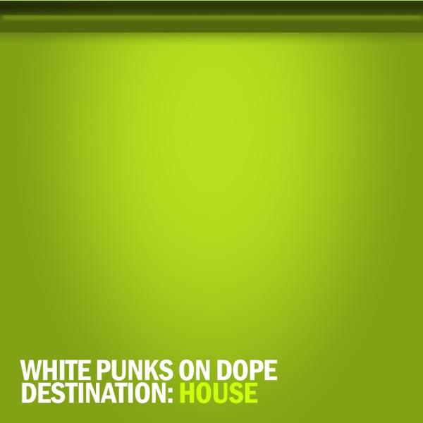 Destination: House (Radio Edit Clean)