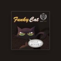 Funky Cat