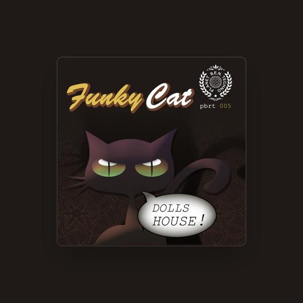 Funky Cat