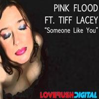 Someone Like You (Featuring Tiff Lacey) [James Nelson Like Prog Remix]