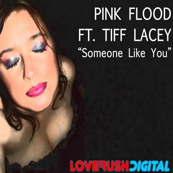 Someone Like You (Featuring Tiff Lacey) [Matt Lange Remix]