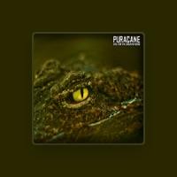 Puracane