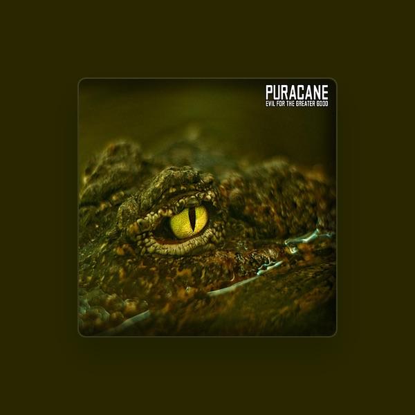 Puracane