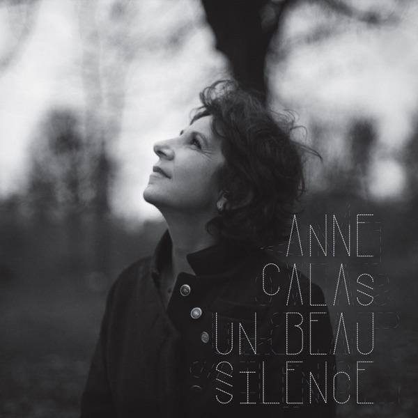 Un Beau Silence