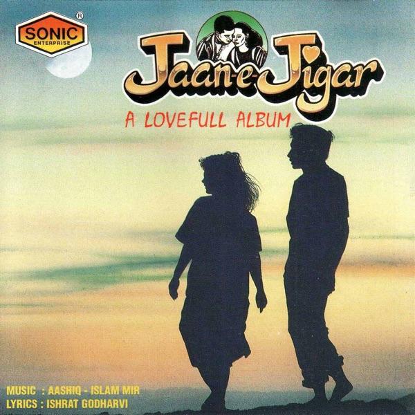 Zindagi Ko Guzarne Ke Liye
