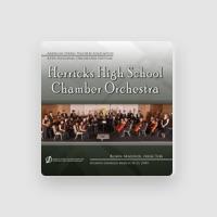 Herricks H. S. Chamber Orchestra