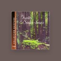 Quiétude: Musique & Sons Naturels