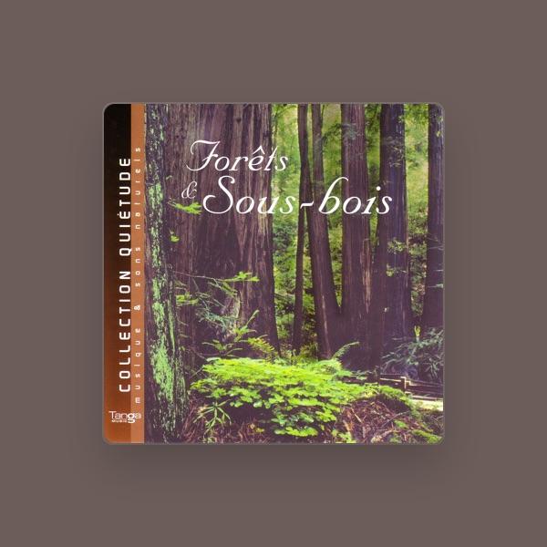 Quiétude: Musique & Sons Naturels