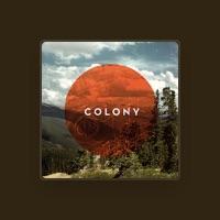Colony