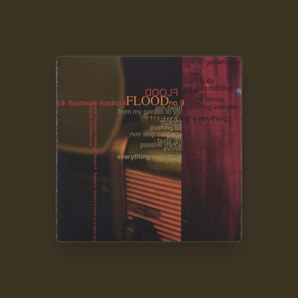 Flood No. 9