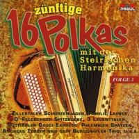 Die Lieser'l-Polka