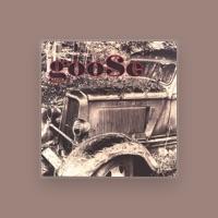 Goose
