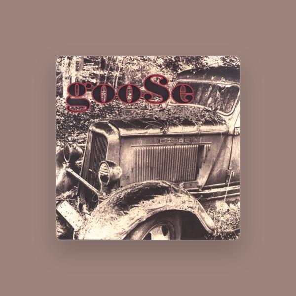 Goose